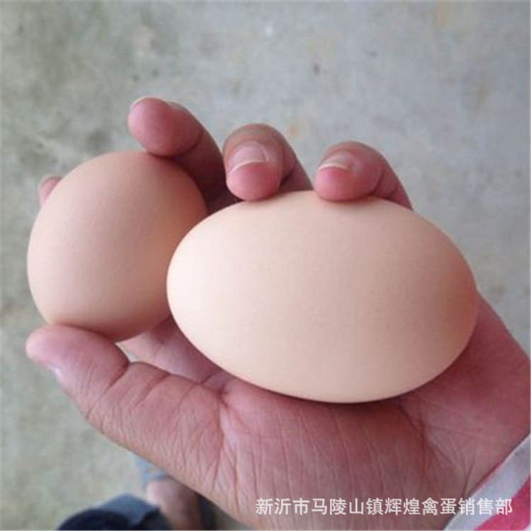 Farm-Raised Free-Range Double-Yolk Eggs, Farm-Raised Eggs, Grass-Fed Eggs, Wood-Fired Eggs Wholesale, Twins in Two Yellow Eggs