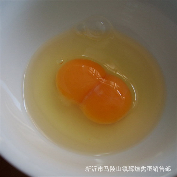 Farm-Raised Free-Range Double-Yolk Eggs, Farm-Raised Eggs, Grass-Fed Eggs, Wood-Fired Eggs Wholesale, Twins in Two Yellow Eggs