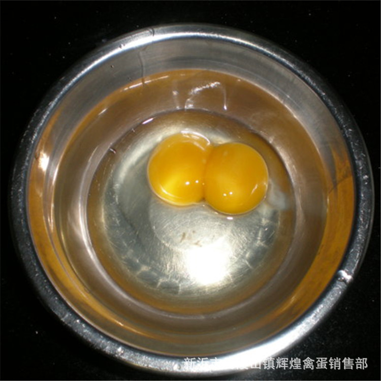 Farm-Raised Free-Range Double-Yolk Eggs, Farm-Raised Eggs, Grass-Fed Eggs, Wood-Fired Eggs Wholesale, Twins in Two Yellow Eggs