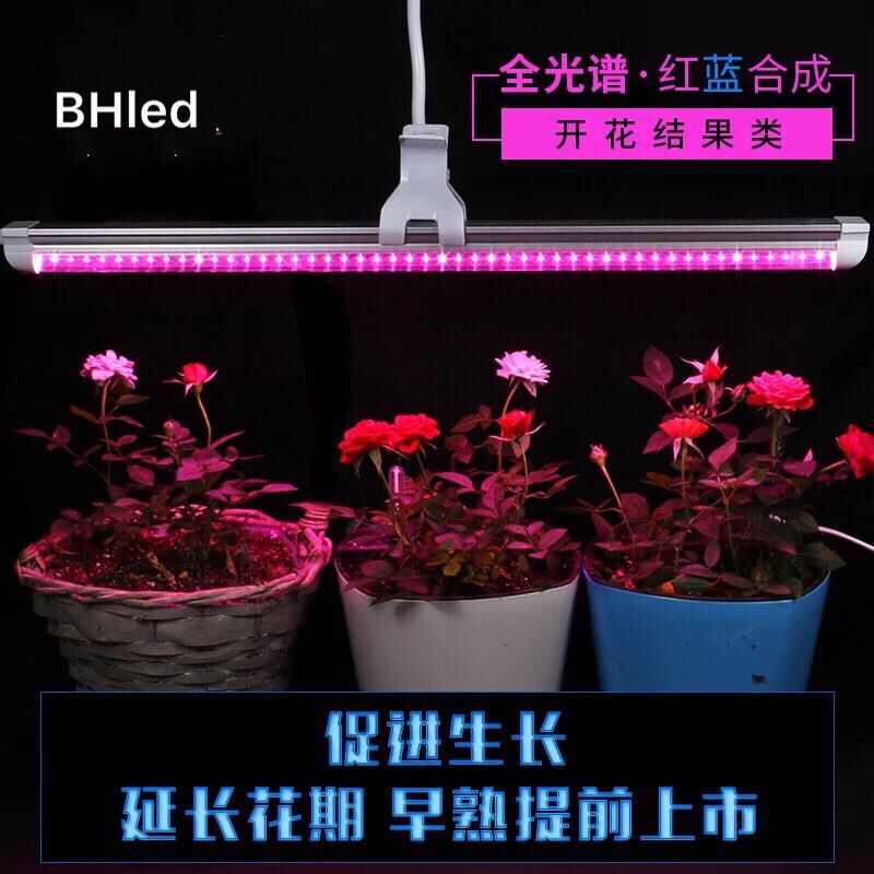 Factory wholesale led Plant Growth Light T8 tube red and blue full spectrum led fill light