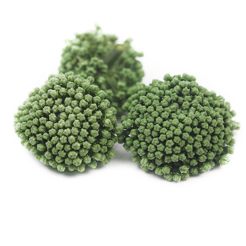 2025 Panax Notoginseng Flower New Flower Wenshan Panax Notoginseng Flower 2 Years 3 Years 4 Tianqi Flower Tea Farmhouse Yunnan Wenshan Tianqi Flower