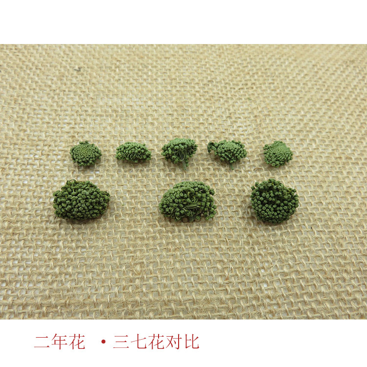 2025 Panax Notoginseng Flower New Flower Wenshan Panax Notoginseng Flower 2 Years 3 Years 4 Tianqi Flower Tea Farmhouse Yunnan Wenshan Tianqi Flower