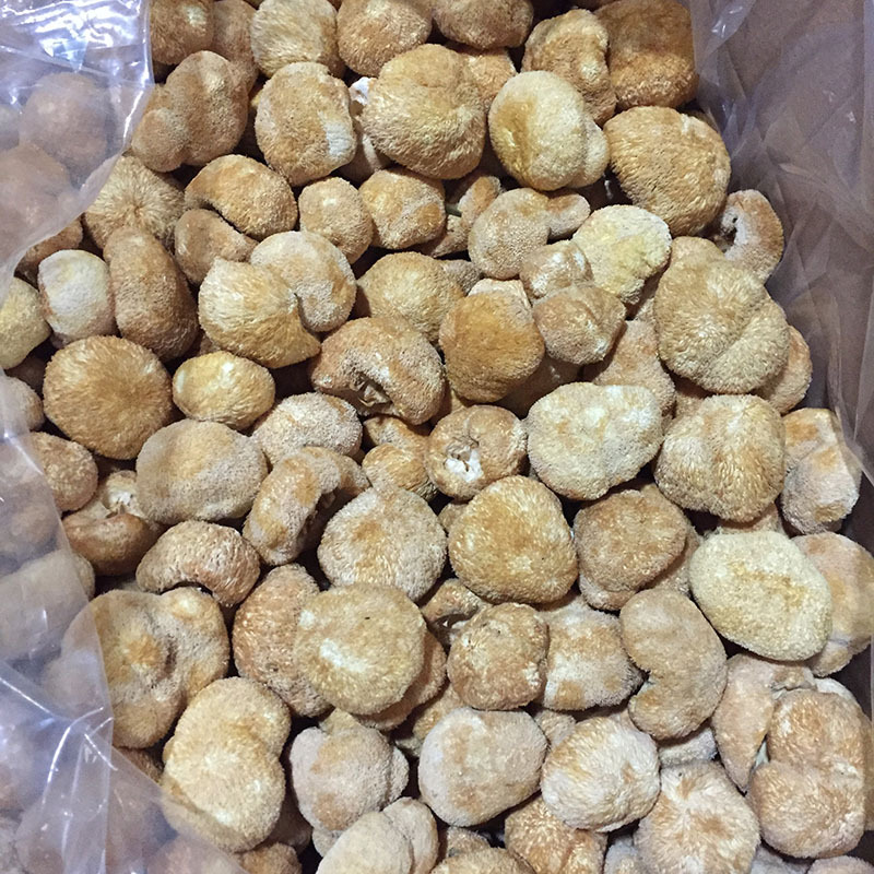 Hericium erinaceus dried agricultural products bulk Hericium erinaceus dried Hericium erinaceus Fujian Gutian origin direct sales