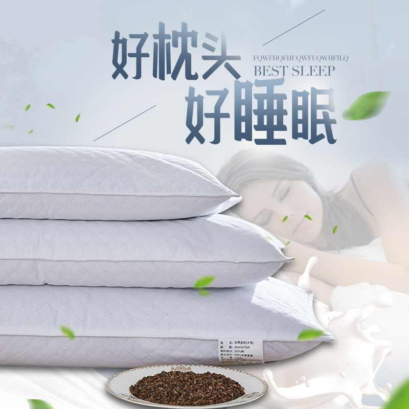 Buckwheat Pillow Wholesale Buckwheat Shell Pillow Core Pillow Summer Buckwheat Skin Pillow Home Summer Dropshipping