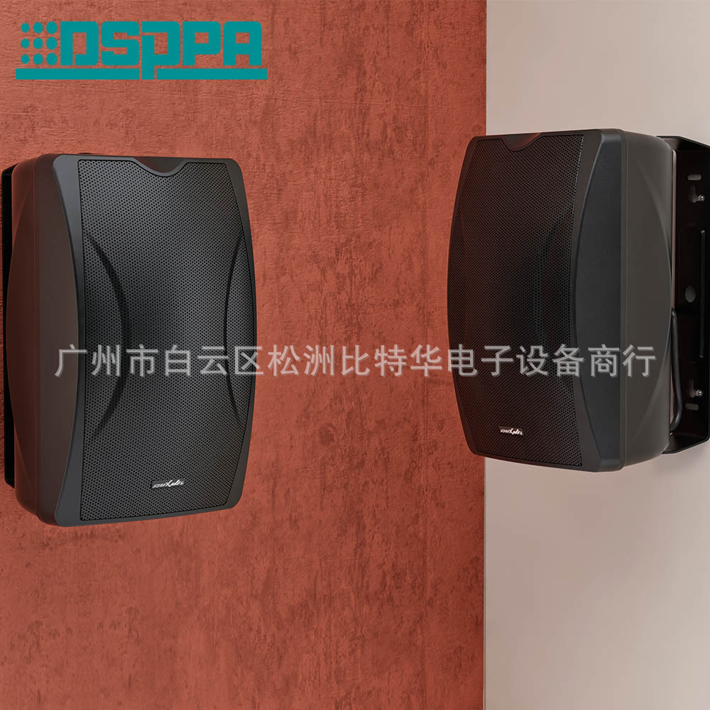 Dsppa Dispu Speaker 4inch Dsp6061B/Wii Wall-Mounted Speaker Background Music Audio Loudspeaker