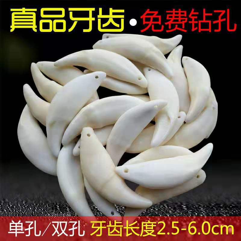 Настоящий зуб собаки черный зуб кулон отбеленный тибетский зуб оптовая продажа ожерелье браслет аксессуары уличная торговля двойное отверстие