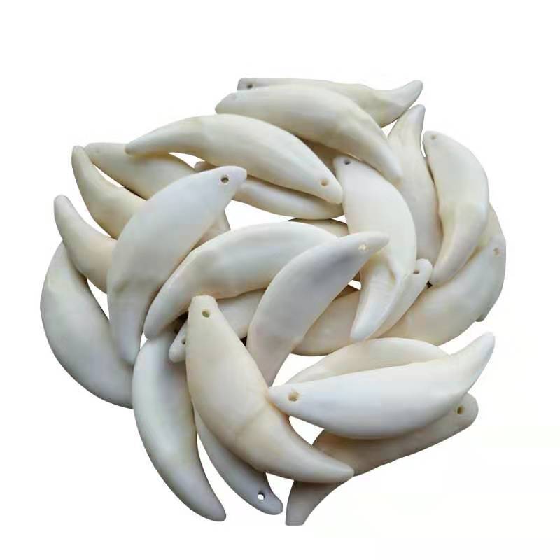 Real Dog Tooth Black Dog Tooth Tooth Tooth Pendant Bleached Xizang Buck Teeth Wholesale Necklace Bracelet Accessories Street Stall Supply Double Hole