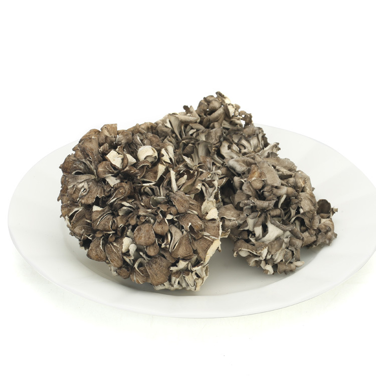 Оптовая продажа гриба майтаке майтаке