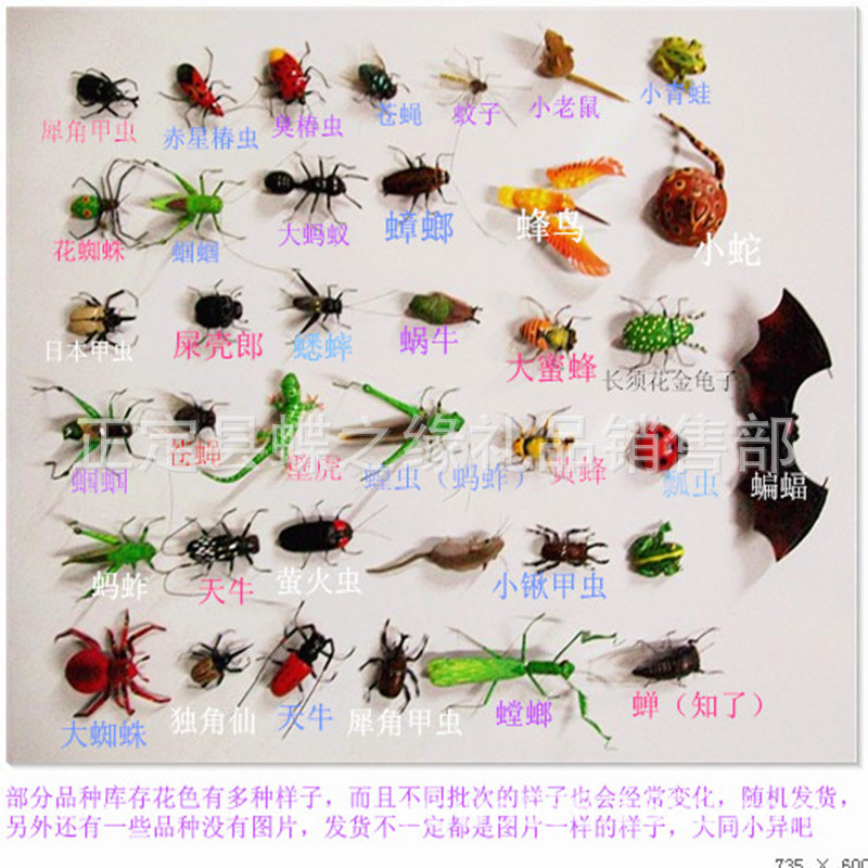 Simulation insect magnetic refrigerator stickers clay animal model teaching aids ladybug grasshopper Dragonfly beetle and other wholesale
