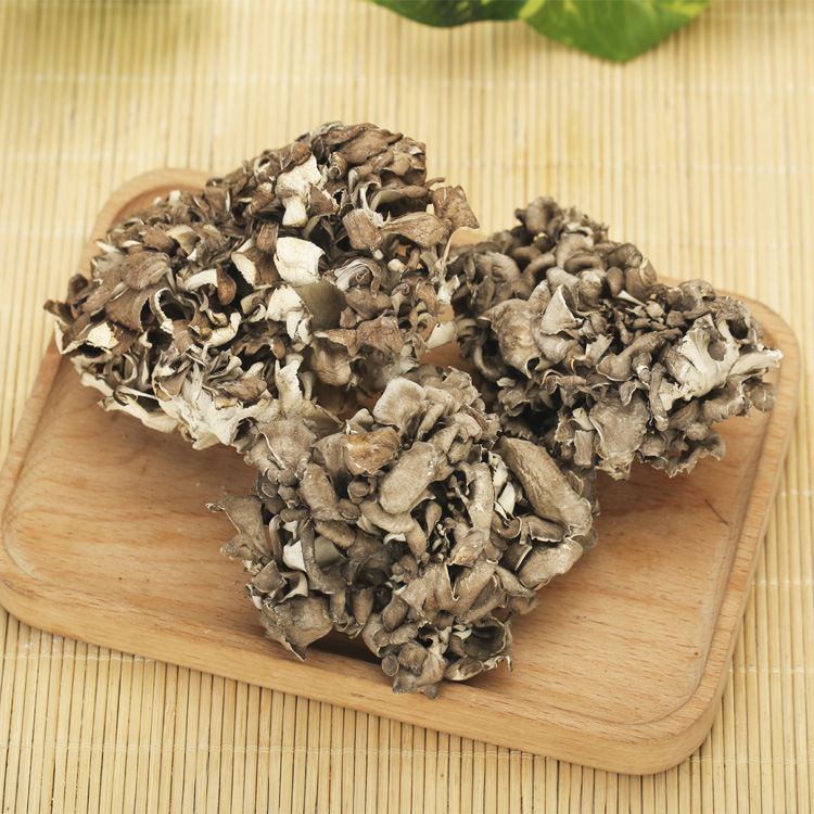 Factory wholesale maitake maitake
