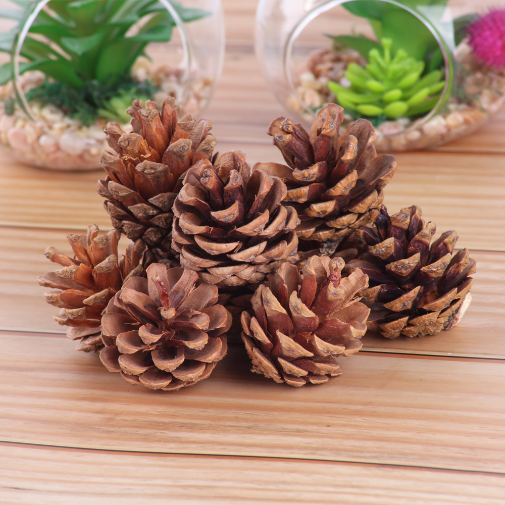 Dried Pine Cone Flower Christmas Decoration Handmade DIY Material Package Garland Accessories Natural Christmas Pine Cone Pine Cone Wholesale