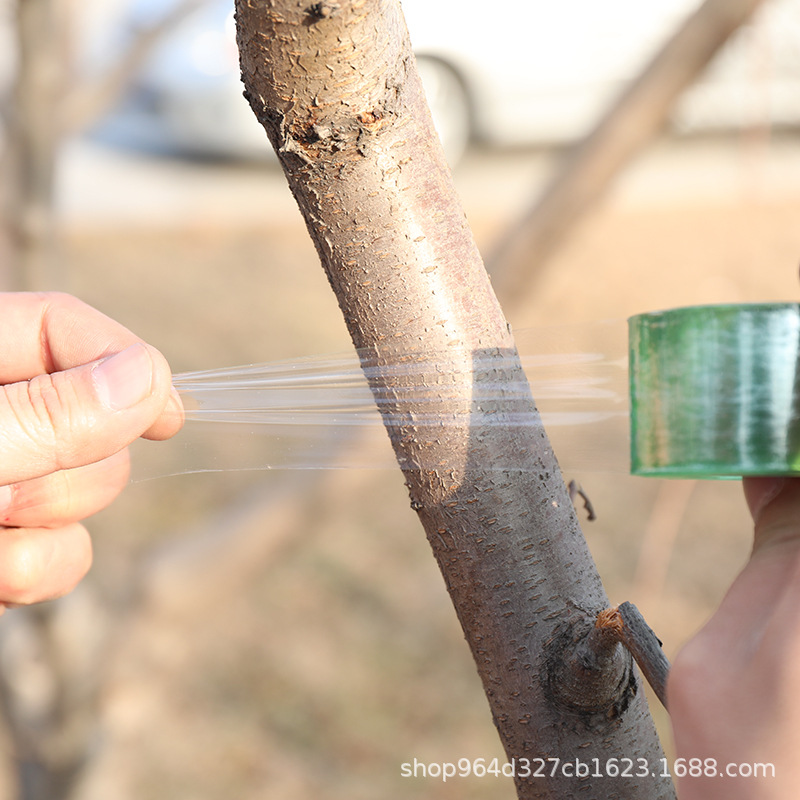 Pvc wire film binding self-adhesive film wrapping film fruit tree grafting film 3/5/6/8/10cm knot-free