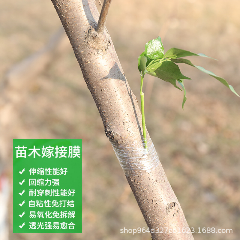 Pvc wire film binding self-adhesive film wrapping film fruit tree grafting film 3/5/6/8/10cm knot-free
