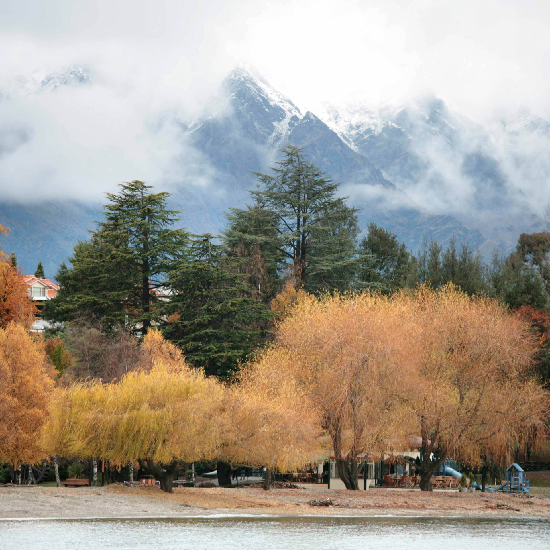 International Sea Shipping, American Shanghai-Style Special Line, Meisen Shuangqing to the End of the Door, Overseas Warehouse Delivery, Us Amazon