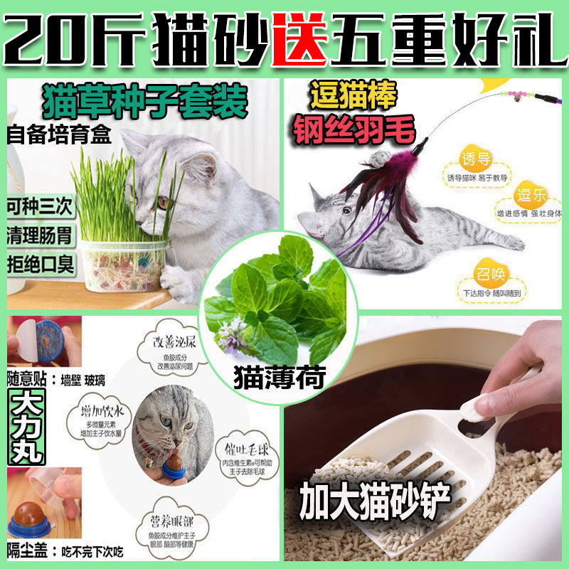 Cat litter 10kg a generation of postage bentonite cat litter 20kg cat litter 10kg 5kg large grain second clumping