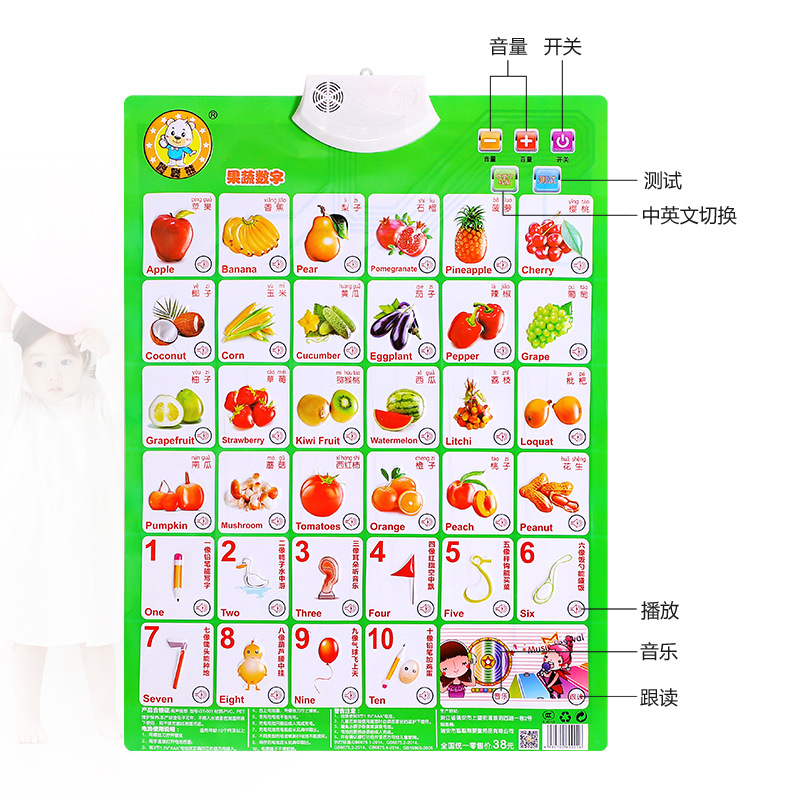 Conggxiong Audio Wall Chart Early Education Educational Cute Treasure Bear Kindergarten Pinyin Digital English Learning Teaching Toys
