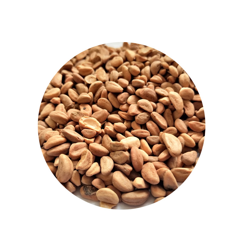 Hawthorn Seeds Washed and Polished Hawthorn Seeds for Kidsren's Playground Sand Pool Floor Hawthorn Seeds Clean New Goods in Stock
