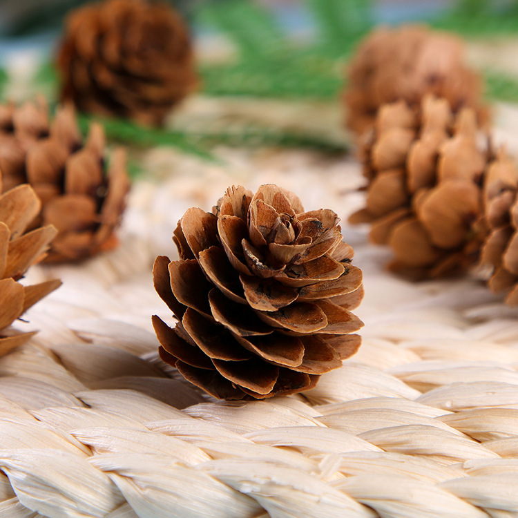 Pine Needles, Simulated Pvc Plastic Pine Leaves, Christmas Tree, Vine Lighting Accessories, Pine Needles, Artificial Pine Needle Strips