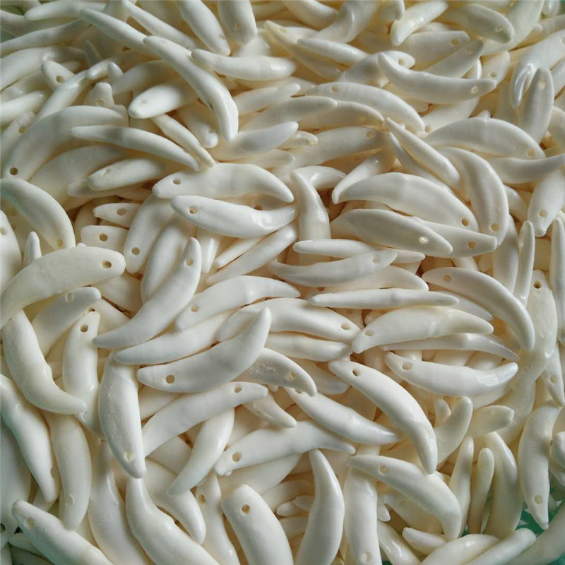 Real Dog Tooth Black Dog Tooth Tooth Tooth Pendant Bleached Xizang Buck Teeth Wholesale Necklace Bracelet Accessories Street Stall Supply Double Hole