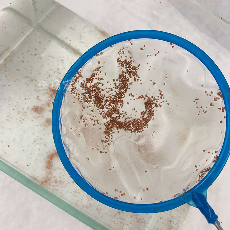 Fish Fishing Net, Fishing Net, Small Fishing Net, Copy Net, Fishing Net, Aquarium Fish Tank, Goldfish Small Fishing Net Pocket, Fishing Small Fish Dense Net