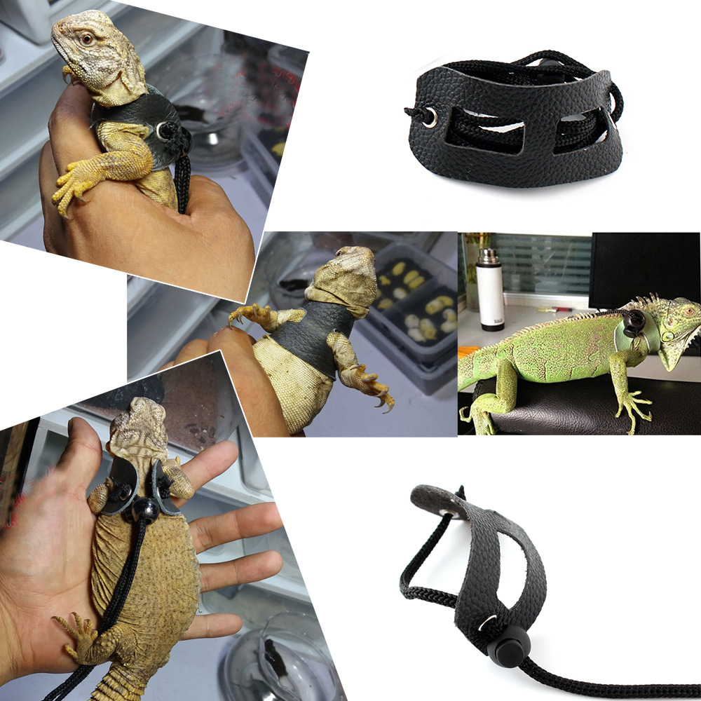 [Small wholesale] Lizard traction rope climbing pet out traction walking lizard rope small pet traction rope