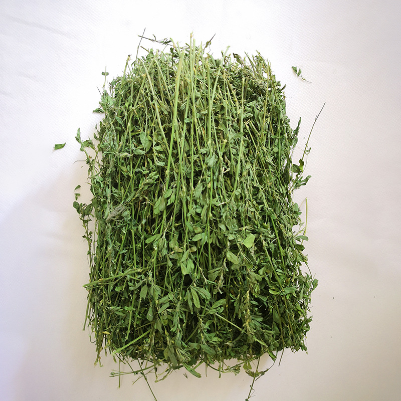 Drying alfalfa rabbit Chinchilla guinea pig herbage Hay 1000G spot factory
