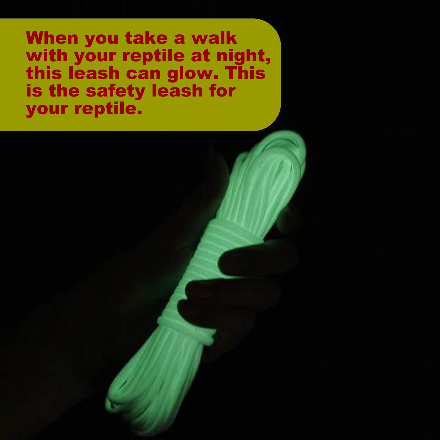 Lizard Traction Rope Climbing Pet Out Traction Rope Walking Lizard Rope Small Pet Traction Rope Luminous Traction Rope