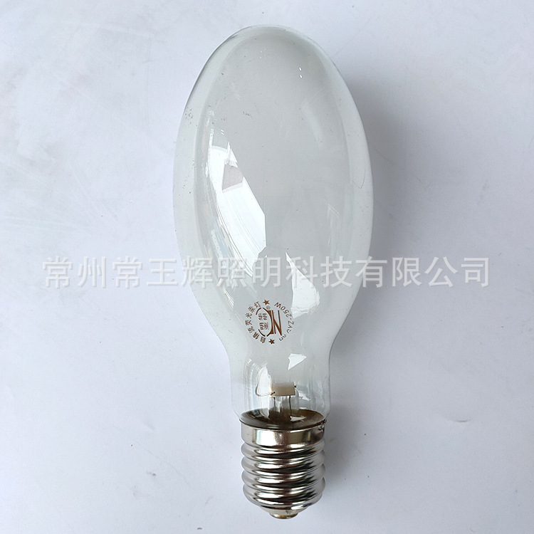 Factory direct supply 125W160W self Mercury bubble 250W450W Self-ballasted mercury bulb fluorescent high pressure mercury lamp bulb