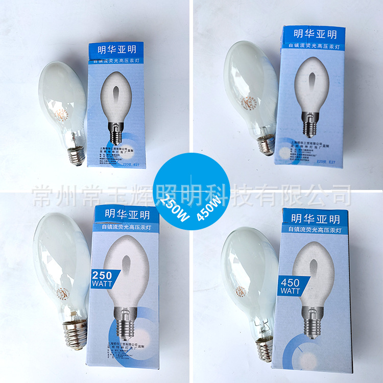 Factory direct supply 125W160W self Mercury bubble 250W450W Self-ballasted mercury bulb fluorescent high pressure mercury lamp bulb
