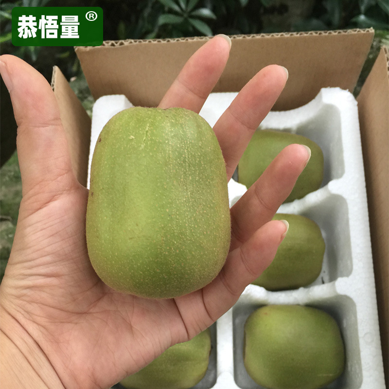 Kiwi Fruit from Pujiang, Sichuan, Red Heart Kiwi, Suitable for Pregnant Women, Whole Box Wholesale Gift Box, First-Grade Sweet and Juicy