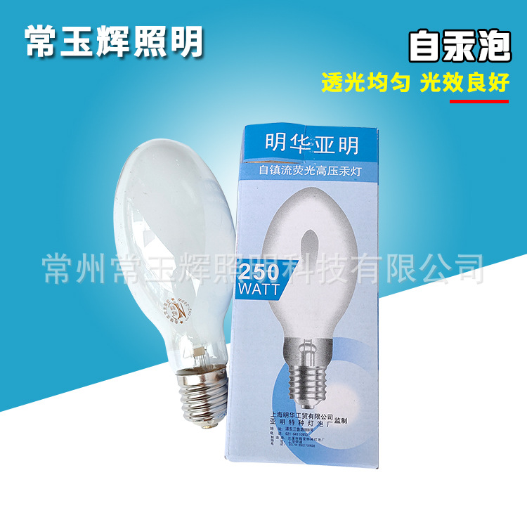 Оптовая продажа 125W160W ртутной лампы с самозапуском