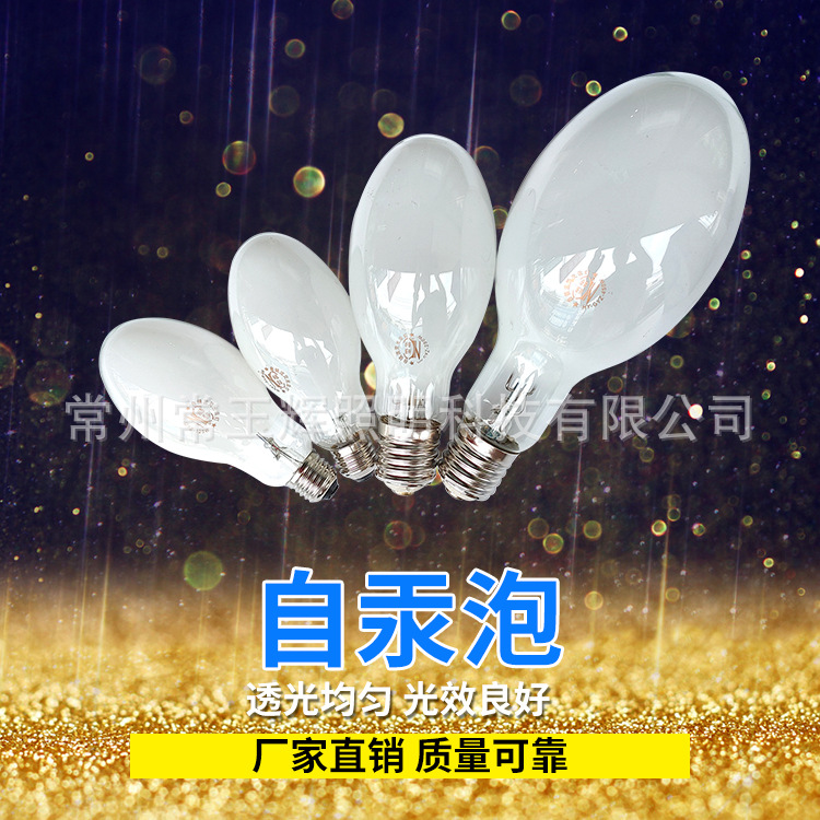 Factory direct supply 125W160W self Mercury bubble 250W450W Self-ballasted mercury bulb fluorescent high pressure mercury lamp bulb