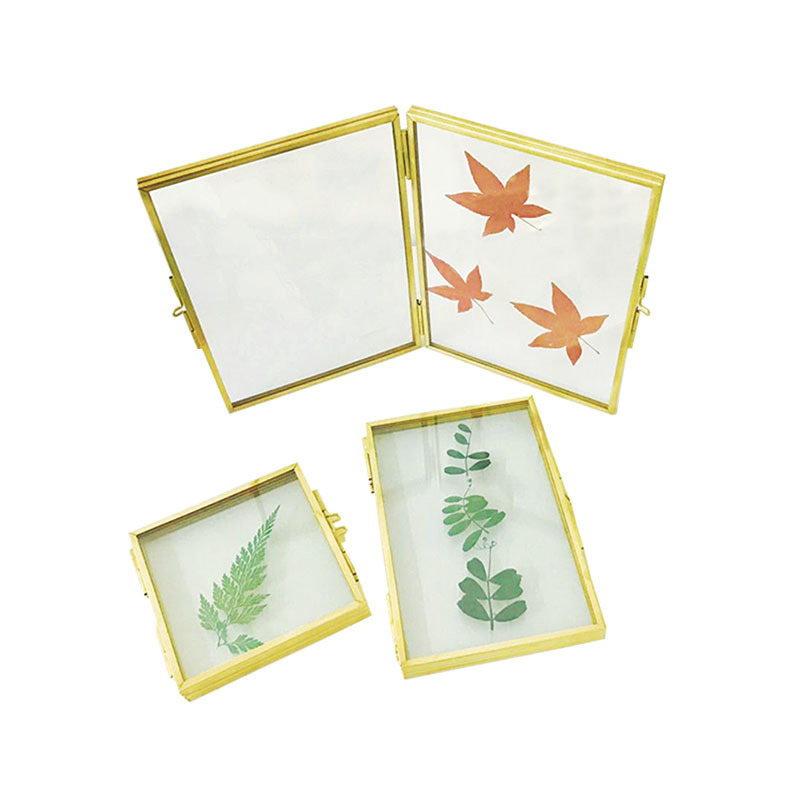 Nordic Glass Photo Frame Double Folding Simple Metal Photo Frame Set Table Card Plant Specimen Display Transparent Photo Frame