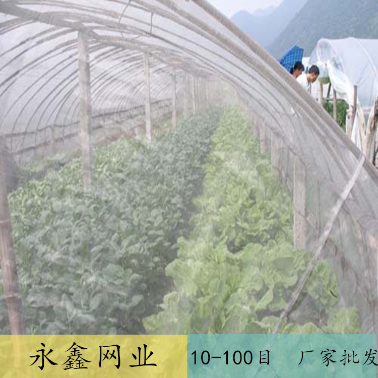 20 mesh twisted silk insect-proof net greenhouse gauze flower vineyard fruit and vegetable bird-proof net cover agricultural plastic insect-proof net cover