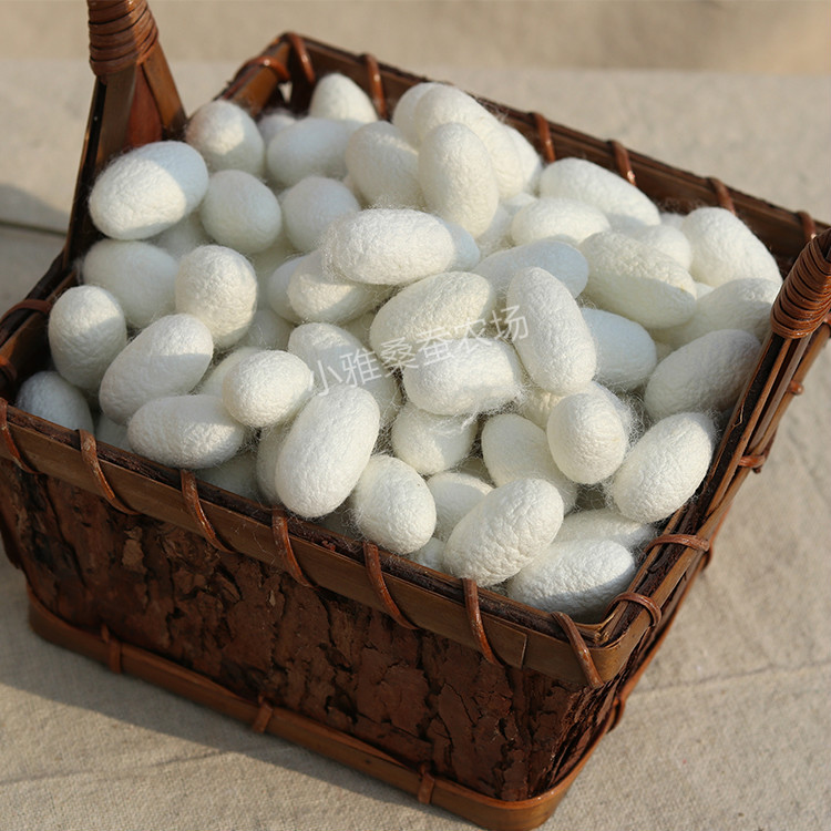 Кокон одинарного дворца, высушенный кокон, натуральный легкий кокон, традиционная китайская медицина, полный ярлык, сырье из коконов шелковицы