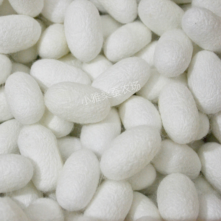 Cocoon Single Palace Dried Cocoon Natural Light Palace Cocoon Traditional Chinese Medicine Cocoon Complete Hangtag Mulberry Cocoon Raw Material