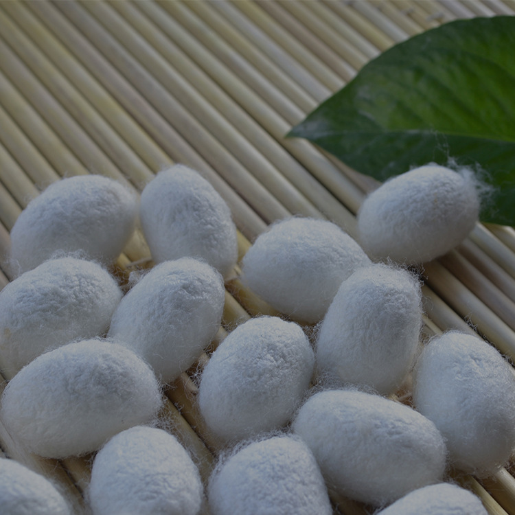 Shuanggong silkworm cocoon mulberry silkworm cocoon silk quilt raw material cocoon farm self-supporting origin direct selling dried silkworm cocoon spring cocoon cocoon