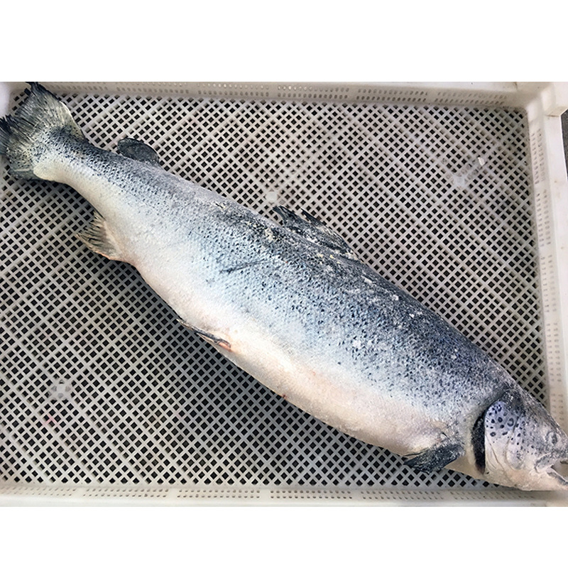 Salmon Fillet 200G/Box, Middle Section, Japanese Sashimi, Atlantic Salmon, Grilled Seafood, Chilean Deep-Sea Wild