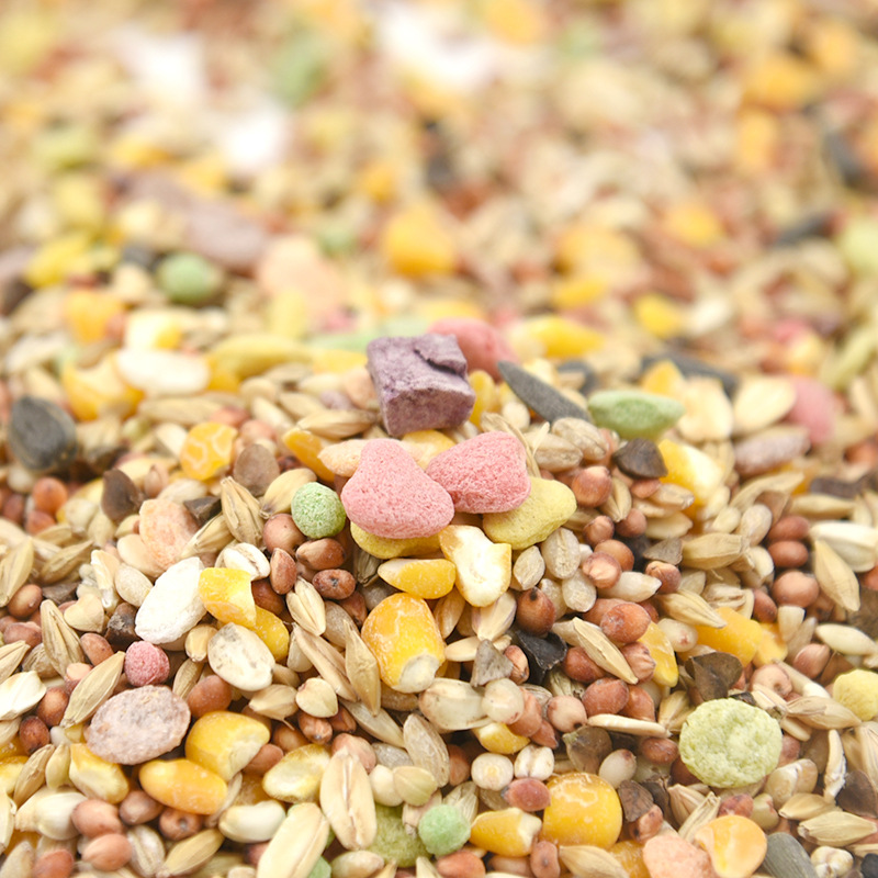 Hamster Grain Seafood Grain Fruit and Vegetable Grain Mixed Grain Hamster Grain Hamster Supplies Self-made Grain Bulk