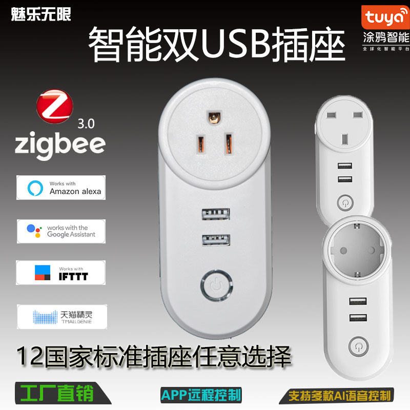 Умная розетка Zigbee с двумя USB, управление голосом Alexa, тайминг, двойное управление, европейский и американский стандарт, многофункциональный