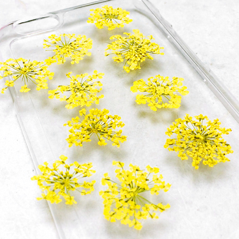 Dried flower factory wholesale lace flower snow bead flower star flower nail art dried flower glue mobile phone shell art flower