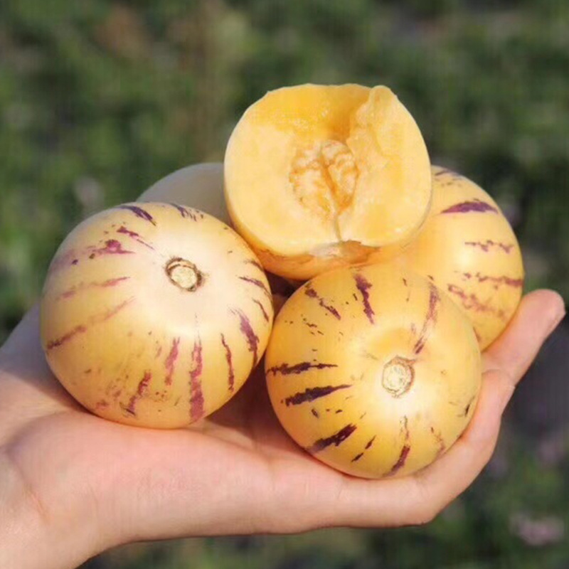 Yunnan Shilin Ginseng Fruit Daidaifa 3/ 2.5kg Fresh Yellow New Round Fruit, Sweet and Milky Fairy Fruit, Fruit for Pregnant Women