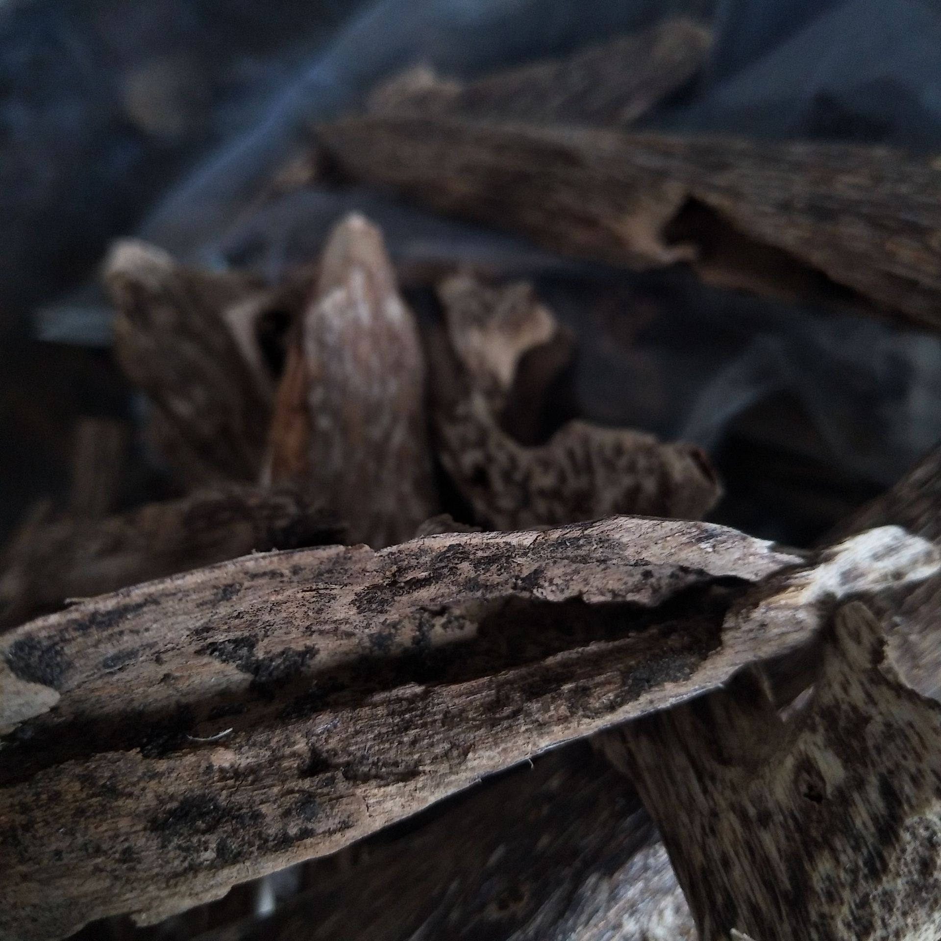 Hainan Natural Insect Eye Insect Leakage Agarwood Raw Material Block Spice Tea into Medicine Log Block Incense Soothing Sleep Aid Scraps