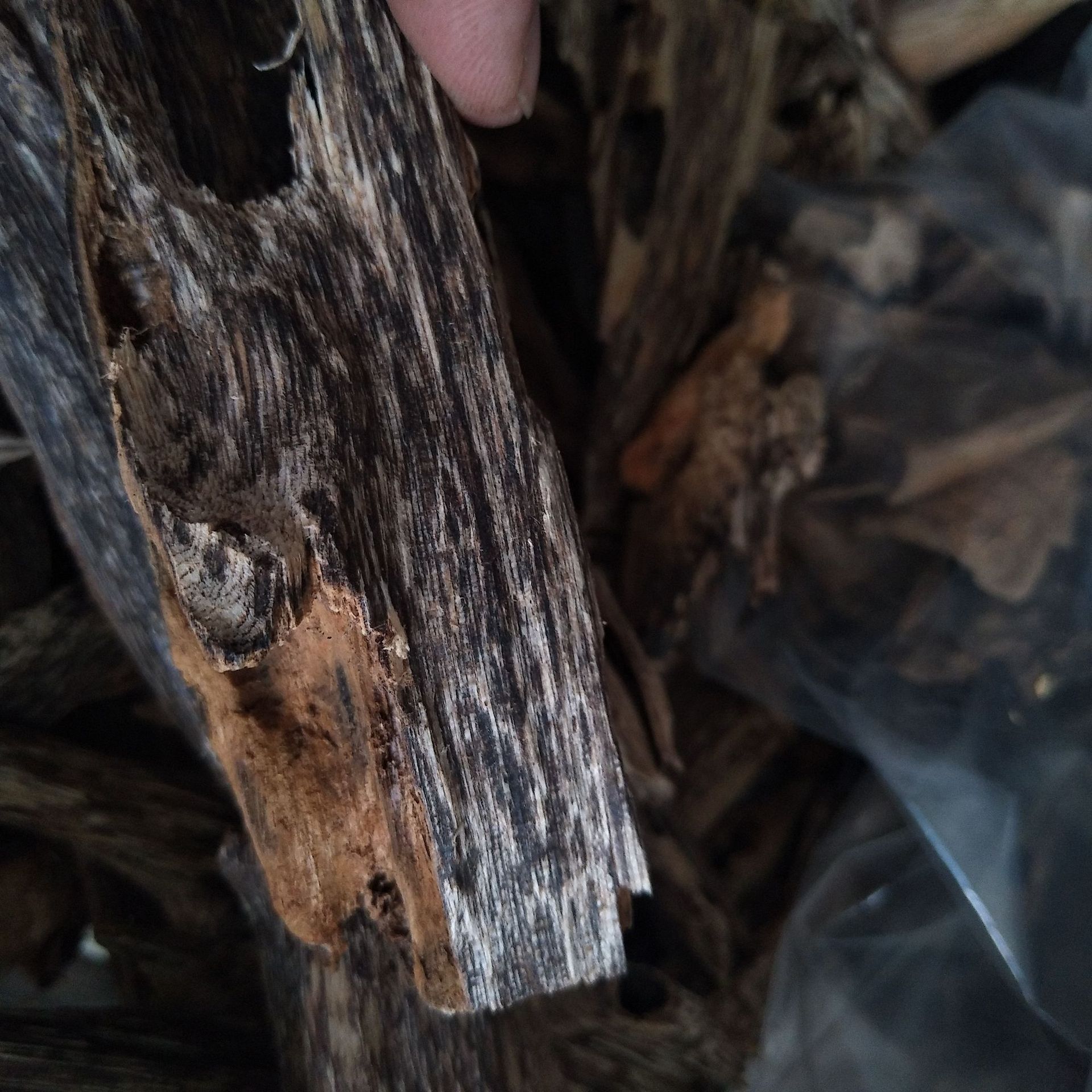 Hainan Natural Insect Eye Insect Leakage Agarwood Raw Material Block Spice Tea into Medicine Log Block Incense Soothing Sleep Aid Scraps