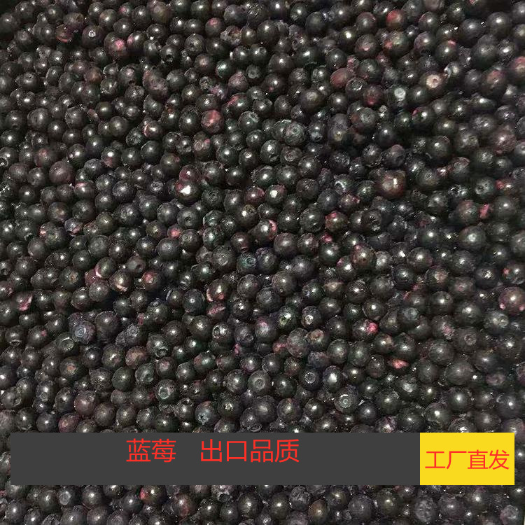 Frozen blueberry frozen blueberry homemade blueberry jam Blueberry Yogurt Blueberry