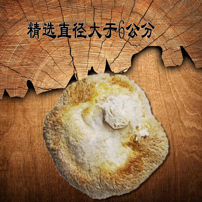 Fujian local specialty monkey head mushroom dry goods strictly selected monkey head new product independent outfit old monkey head mushroom 250g outfit