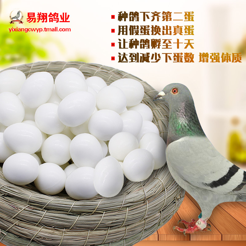 Yixiang Utensils Manufacturer Wholesale Plastic Solid Fake Pigeon Eggs Pigeon Fake Eggs Guide Eggs Pigeon Supplies Pigeon Tools