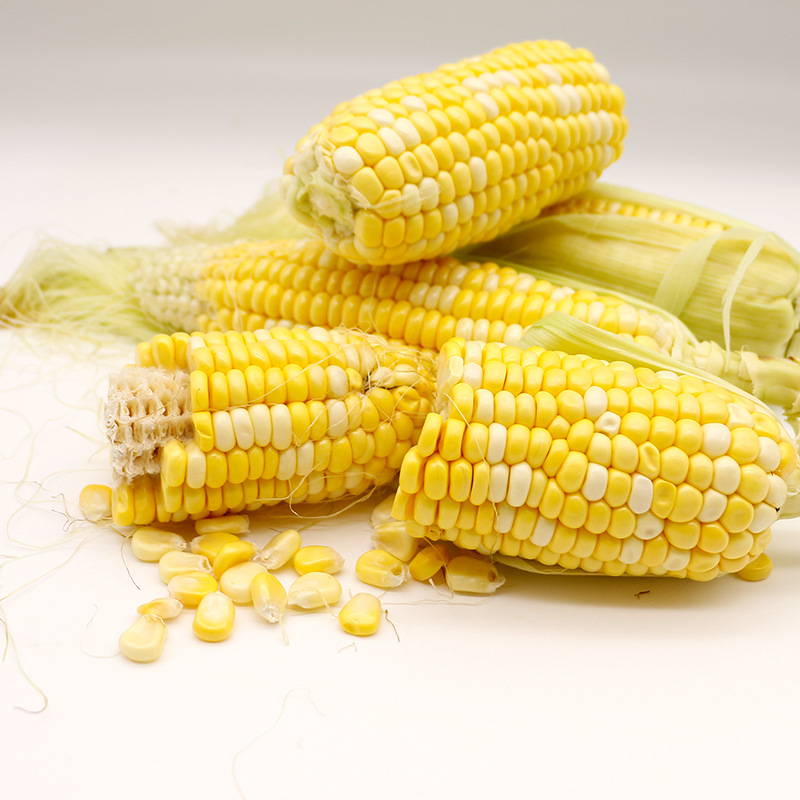 Yunnan Dehong Fruit Corn Daifa 3/2.50kg Fresh Raw and Ripe Two Eating Yellow and Young Corn Cone Seasonal Vegetables