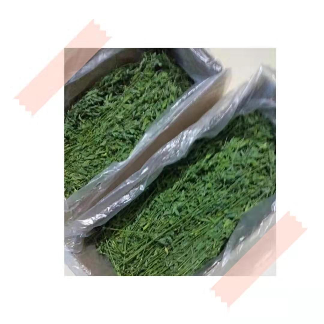 Drying alfalfa rabbit Chinchilla guinea pig herbage Hay 1000G spot factory