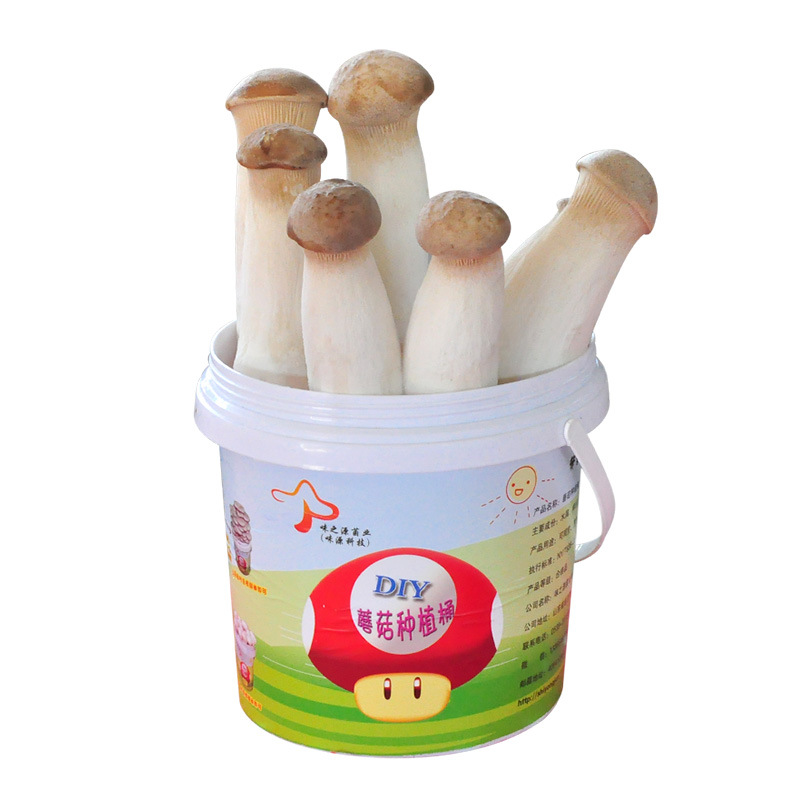 Wholesale DIY Planting Bucket Oyster Mushroom Family Balcony Mushroom Planting Edible Mushroom Potted Mushroom Bag Mushroom Strains